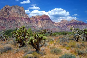 red rock canyon