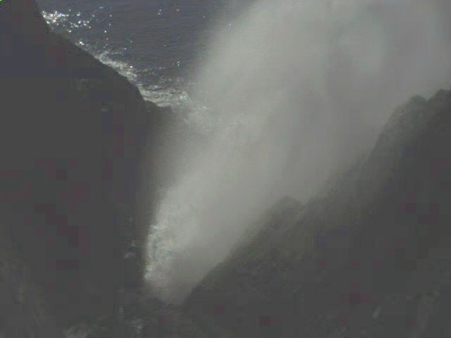 Blowhole